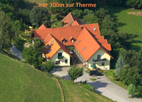 Гостиница Birkenhof Loipersdorf  Лойперсдорф-Фюрстенфельд